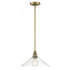 Elk Charis 12.5 Inch Wide 1 Light Pendant in Antique Brass with Oil Rubbed Bronze Model: 6331-ANOB-CL