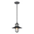 Elk Coastal Farm HANGING in Charcoal Finish Model: 69375/1