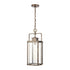 Elk Crested Butte HANGING in Vintage Brass Finish Model: 89184/1