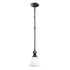Elk Designer Classics 1 Light MINI PENDANT in Matte Black Finish Model: 66202-1