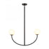 Elk Doby 30 Inch Wide 2 Light Pendant in Matte Black Model: H0018-10372