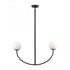 Elk Doby 30 Inch Wide 2 Light Pendant in Matte Black Model: H0018-10372