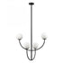 Elk Doby 30 Inch Wide 4 Light Pendant in Matte Black Model: H0018-10371