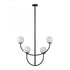 Elk Doby 30 Inch Wide 4 Light Pendant in Matte Black Model: H0018-10371