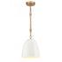 Elk Downington 8.75 Inch Wide 1 Light Mini Pendant in Brushed Brass with Matte White Model: 47811/1