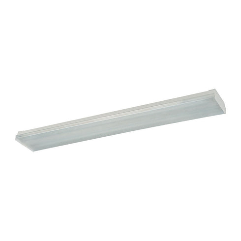 Elk Fluor 2 Light FLUSH MOUNT in Clear Finish Model: FWN232EB
