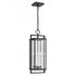 Elk Gladwyn 22.75 Inch High 3 Light Outdoor Hanging Light Matte Black Model: 90004/3