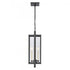Elk Gladwyn 22.75 Inch High 3 Light Outdoor Hanging Light Matte Black Model: 90004/3