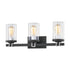 Elk Holdfast VANITY LIGHT in Charcoal Finish Model: 47582/3