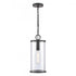 Elk Hopkins 7.25 Inch Wide 1 Light Outdoor Hanging Light Charcoal Black Model: 89495/1