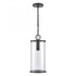 Elk Hopkins 7.25 Inch Wide 1 Light Outdoor Hanging Light Charcoal Black Model: 89495/1