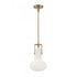 Elk Izel 10 Inch Wide 1 Light Pendant in Antique Brass Model: 4641-AN-MO