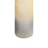 Elk Judie VASE JAR BOTTLE (2 pack) (2 pack) in Frosted Ombre Finish Model: H0807-8736/S3