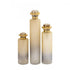 Elk Judie VASE JAR BOTTLE (2 pack) (2 pack) in Frosted Ombre Finish Model: H0807-8736/S3