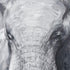 Elk Legendary WALL ART in Neutral Finish Model: S0016-8158