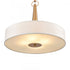 Elk Leo 22'' Wide 4 Light Pendant Brushed Gold Model: 89845/4