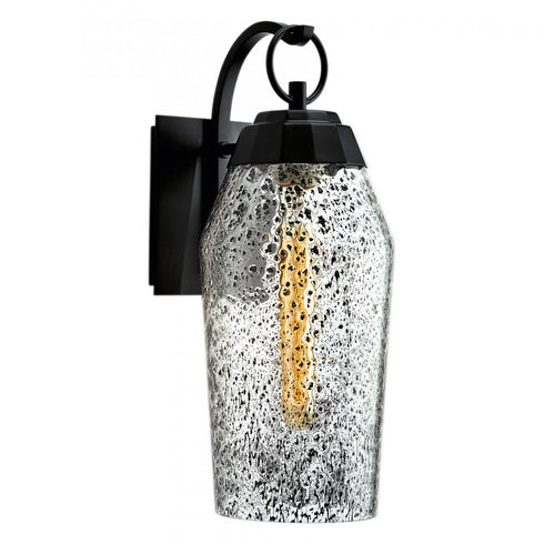 Elk Lyrids 14 Inch High 1 Light Outdoor Sconce in Matte Black Model: 1265-MB-IG