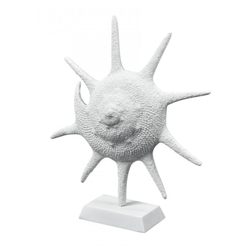 Elk Marco Shell in Textured White Model: S0037-11315