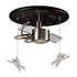 Elk Novelty FLUSH MOUNT in Black Finish Model: 5089/3