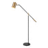 Elk Oliver Avenue 64 Inch High 1 Light Floor Lamp in Matte Black Model: S0019-9565