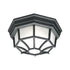 Elk Outdoor Essentials FLUSH MOUNT in Black Finish Model: SL7457