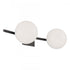 Elk Perch 24 Inch Wide 2 Light Vanity Light in Acid Dipped Black Model: 9682-ADB-OP