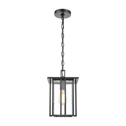 Elk Radnor HANGING in Matte Black Finish Model: 46693/1