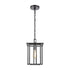 Elk Radnor HANGING in Matte Black Finish Model: 46693/1