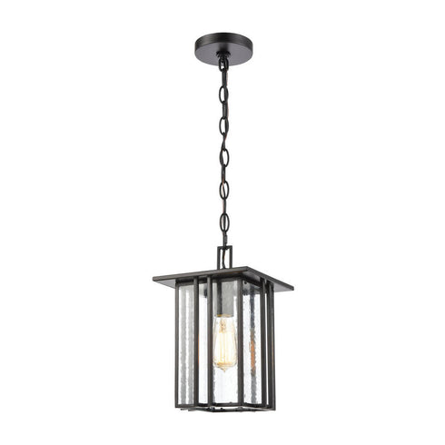 Elk Radnor HANGING in Matte Black Finish Model: 46693/1