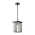Elk Radnor HANGING in Matte Black Finish Model: 46693/1