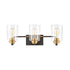 Elk Robins VANITY LIGHT in Matte Black Finish Model: 46612/3