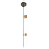 Elk Scarab SCONCE in Satin Brass Finish Model: D4652