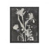 Elk Silhouette III Framed Wall Art in Black Finish Model: S0056-10631