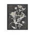 Elk Silhouette IV Framed Wall Art in Black Finish Model: S0056-10632