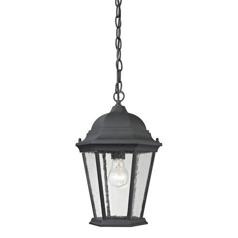 Elk Temple Hill 1 Light HANGING in Matte Textured Black Finish Model: 8101EH/65