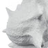 Elk Tigertail Shell in Textured White Model: S0037-11316