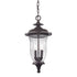 Elk Trinity HANGING in Bronze Finish Model: 8002EH/75
