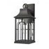 Elk Triumph 17.75 Inch High 1 Light Outdoor Sconce in Textured Black Model: 89600/1