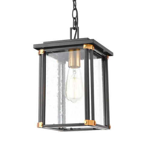 Elk Vincentown HANGING in Matte Black Finish Model: 46723/1