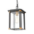Elk Vincentown HANGING in Matte Black Finish Model: 46723/1