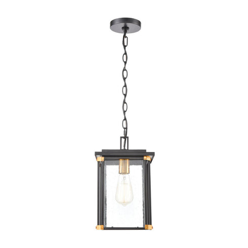 Elk Vincentown HANGING in Matte Black Finish Model: 46723/1