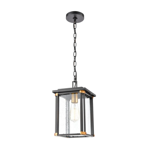 Elk Vincentown HANGING in Matte Black Finish Model: 46723/1