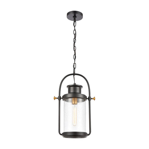 Elk Wexford HANGING in Matte Black Finish Model: 46672/1