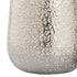 Elk Willa VASE JAR BOTTLE in Silver Finish Model: S0807-8743/S2