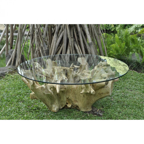 Elk Yava COFFEE TABLE in Clear Finish Model: 7116560