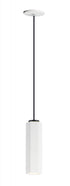 ET2 Allen Single Pendant Model: E25037-WTBK