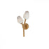 ET2 Blossom Wall Sconce Model: E32792-93BK