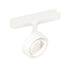 ET2 Continuum - Track Continuum Track Track Light in White Finish Model: ETL21214-114WT