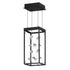 ET2 Entanglement Single Pendant in Black Finish Model: E21251-20BK