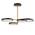ET2 Hoopla Chandelier in Black / Gold Finish Model: E24322-BKGLD